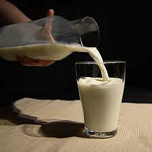 Производство молока КРС