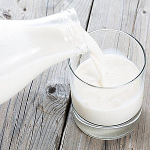 Молоко КРС оптом