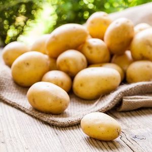 Выращивание картофеля