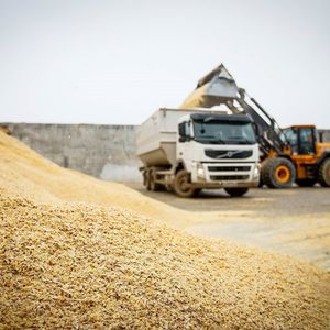 Перевозка сельхозпродукции