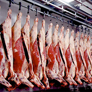 Производство мясной продукции