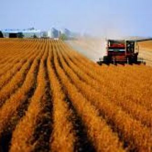 Животноводство и растениеводство