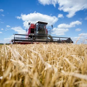 Выращивание зерновых и зернобобовых культур