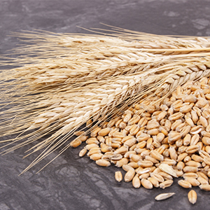 Выращивание сельскохозяйственных культур