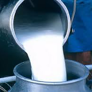 Производство и реализация молока