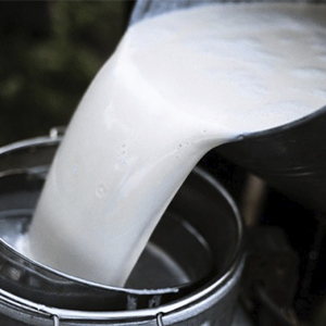 Молоко оптом