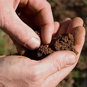 Определение агрохимических характеристик почв