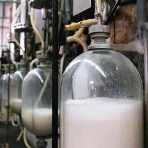 Производство коровьего молока