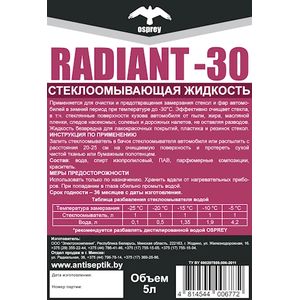 Стеклоомывающая жидкость RADIANT -30