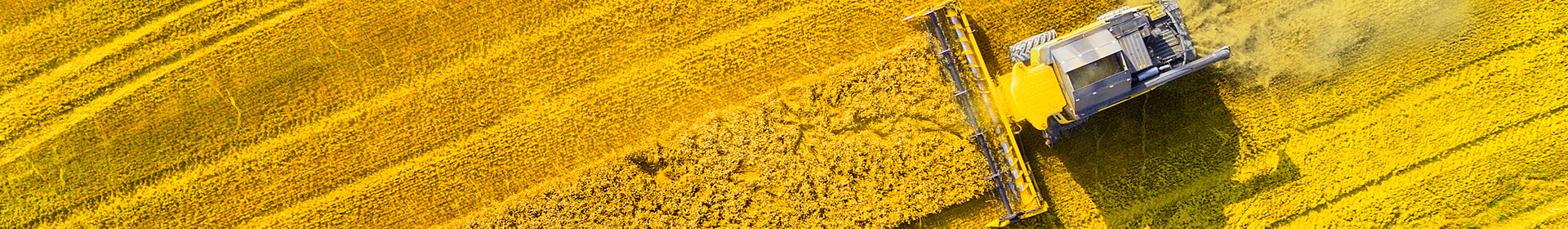 Имени К.И.Шаплыко ОАО