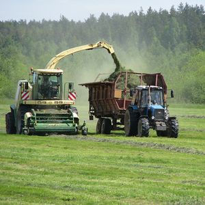 Растениеводство и заготовка кормов