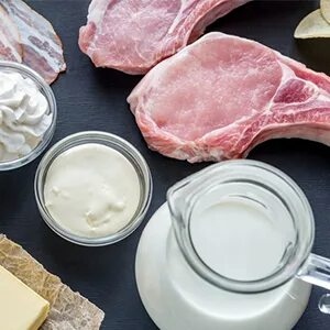 Продукция животноводства