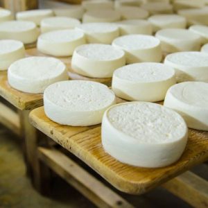 Производство козьего сыра