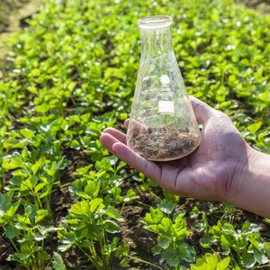 Анализ почвы агрохимическими методами