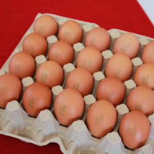 Яйцо куриное диетическое Отборной категории
