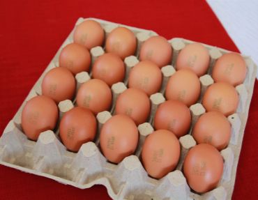 Яйцо куриное диетическое Высшей категории