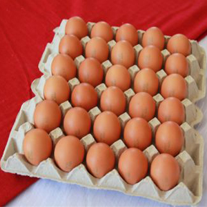 Яйцо куриное диетическое Отборной категории