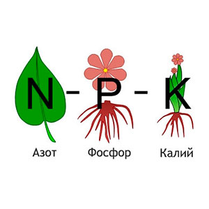 NPK удобрения