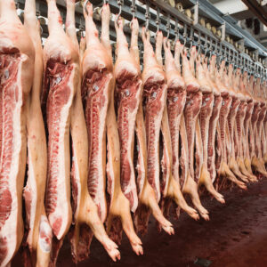 Организация производства свинины