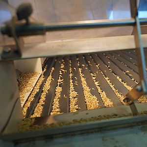 Очистка зерна и семян