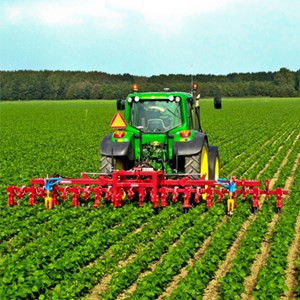 Растениеводство в сельском хозяйстве