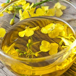 Рапсовое масло