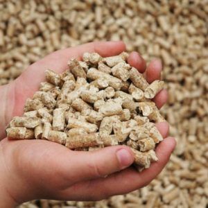 Корма, кормовые добавки