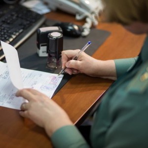 Оформление таможенных деклараций