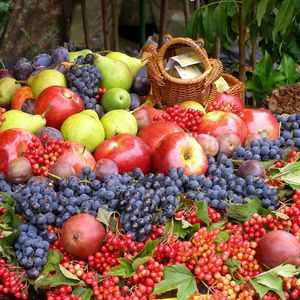 Плодово-ягодные угодья