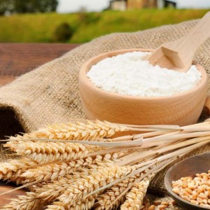 Пшеница с высоким содержанием клейковины
