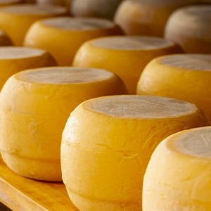 Сыр от производителя