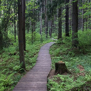 Отдых в Беларуси