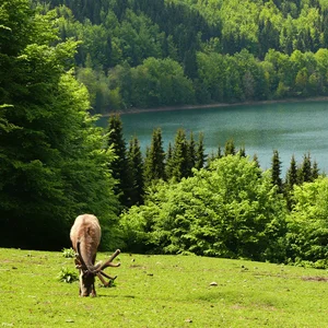 Туризм Беларусь