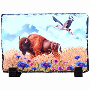 Фотокамень