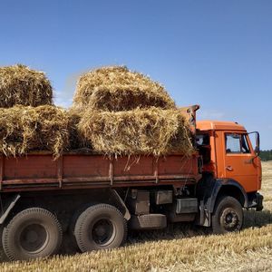 Перевозка грузов автомобильным транспортом