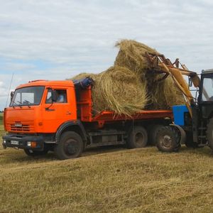 Перевозка груза автомобилем