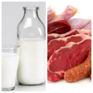 Производство мяса, молока