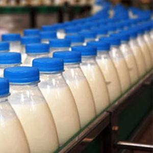 Производство молока и молочной продукции