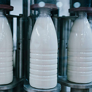Молоко по оптовым ценам