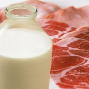 Мясо-молочная продукция
