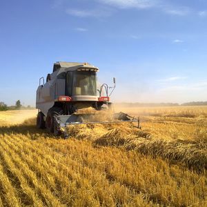 Уборка зерновых культур