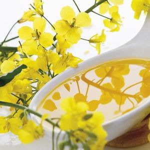 Производитель рапсового масла