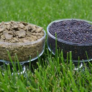 Производство жмыха