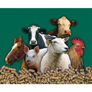 Комбикорм для сельскохозяйственных животных