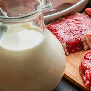 Продукция животноводства