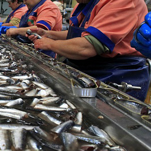 Продажа рыбной продукции