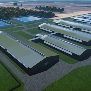 Строительство МТФ