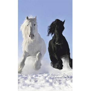 Инфракрасный обогреватель «Дыхание Тепла — Пегас»