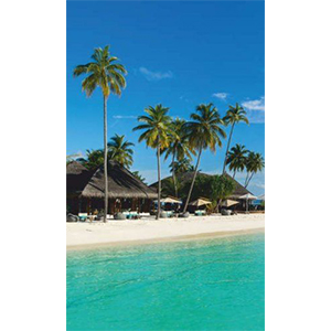 Инфракрасный плёночный обогреватель «Дыхание Тепла — Мальдивы»