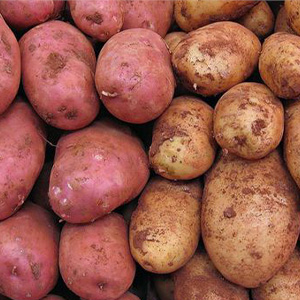 Белорусская картошка